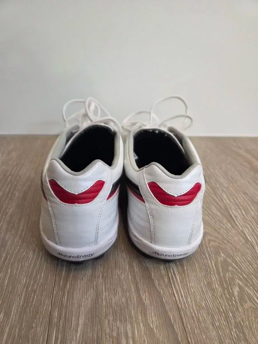 ミズノ モレリア サラ ジャパン tf 255