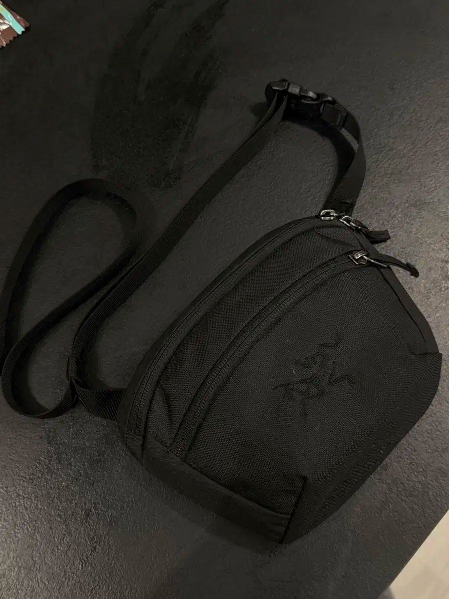 ARC TERYX アークテリクス SS25 マンティス 1 ブラック