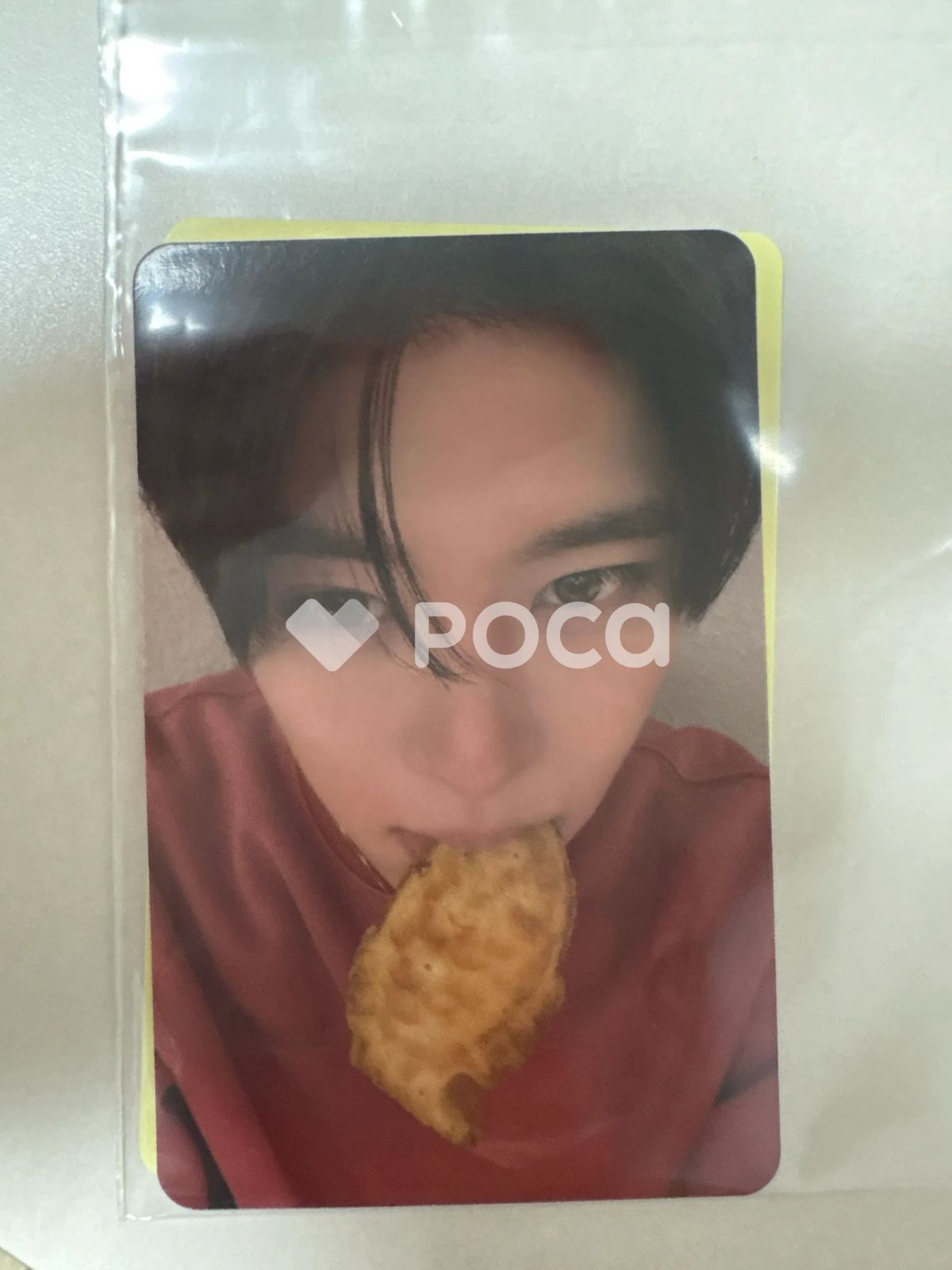 【数量限定，新作登場】 COLOR APPLEMUSIC ラキドロ 写真・チェキ
