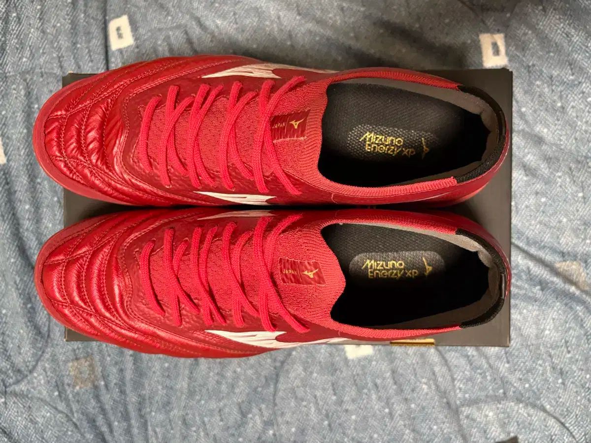 ミズノ モーレル リー ナ NEO4 ベータ サラ jp270