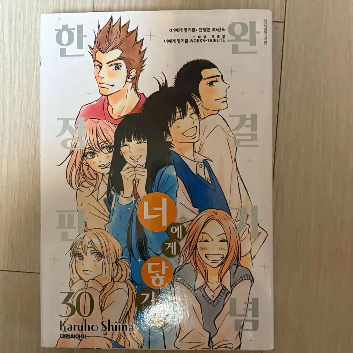 あなたに届け 完結記念 版 30巻 韓国正規版