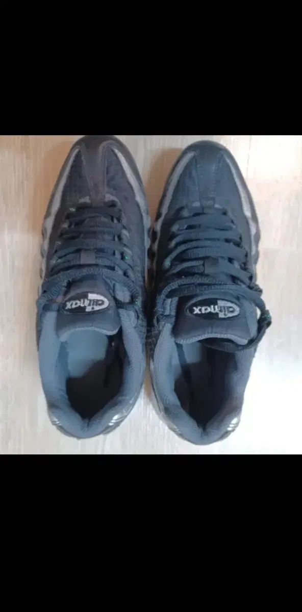 ナイキ エアマックス 95 ブラック シルバー 250 mm