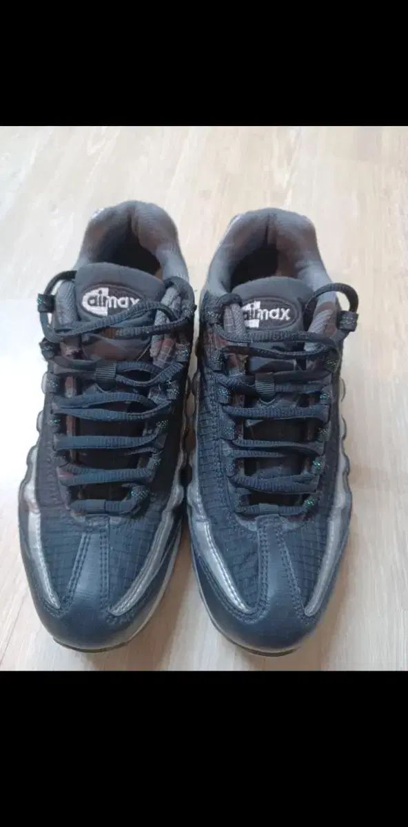 ナイキ エアマックス 95 ブラック シルバー 250mm