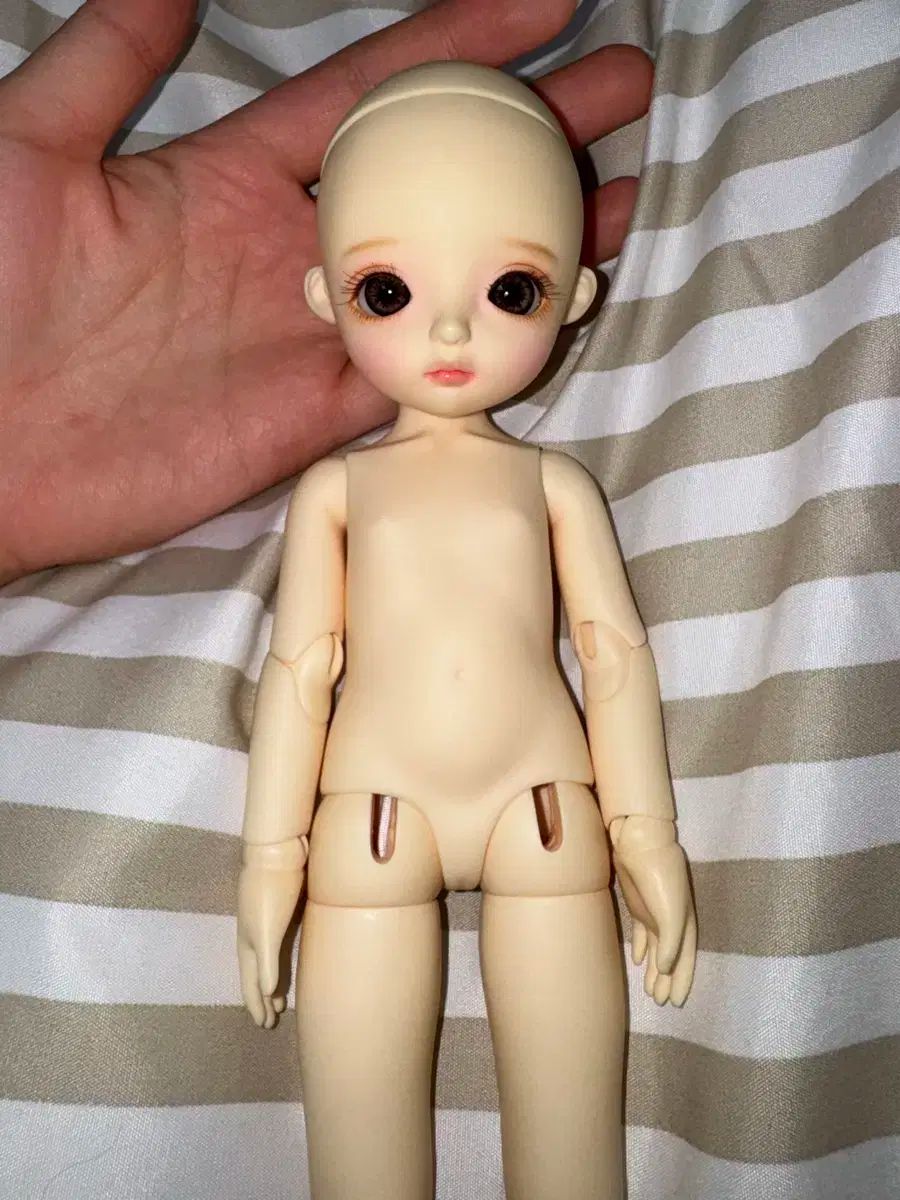 LINA chou chou ピヨ 球体関節人形