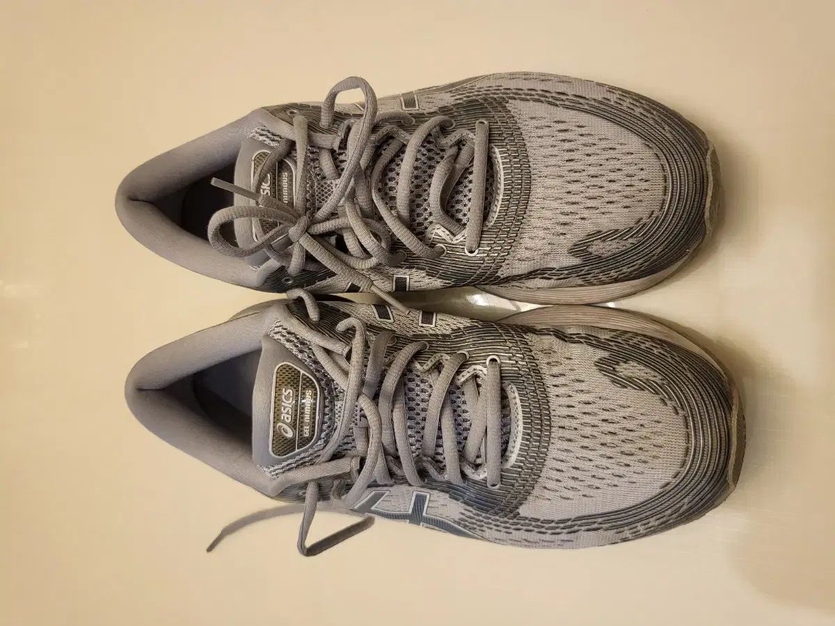 アシックス ゲル ニンバス 21 グレー スニーカー