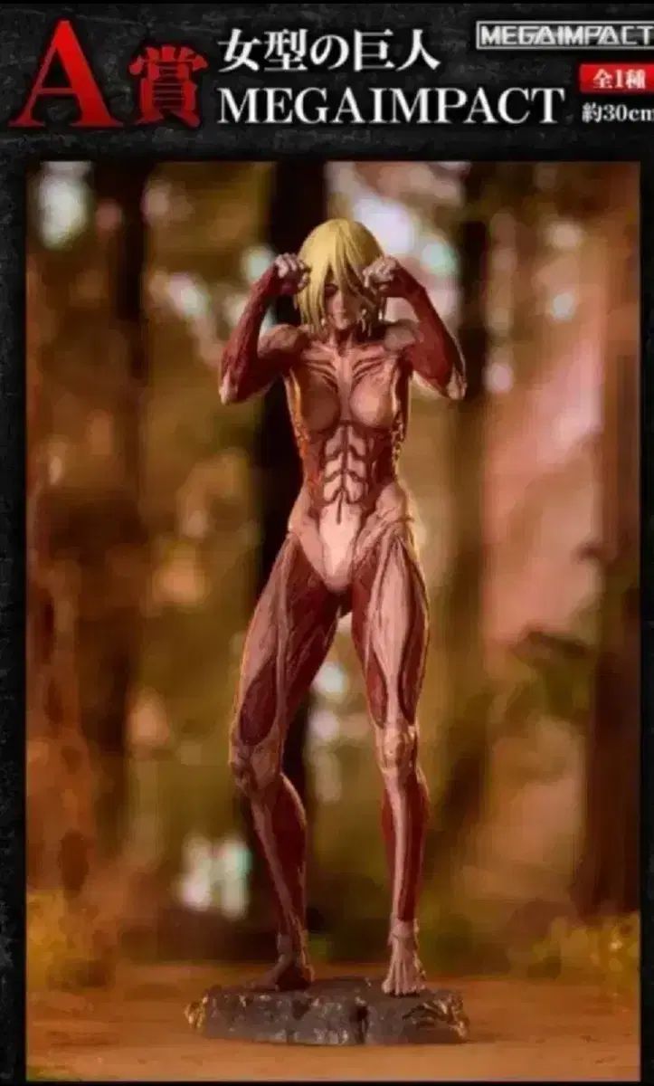 レディース ジーン 進撃の巨人のクージーa版