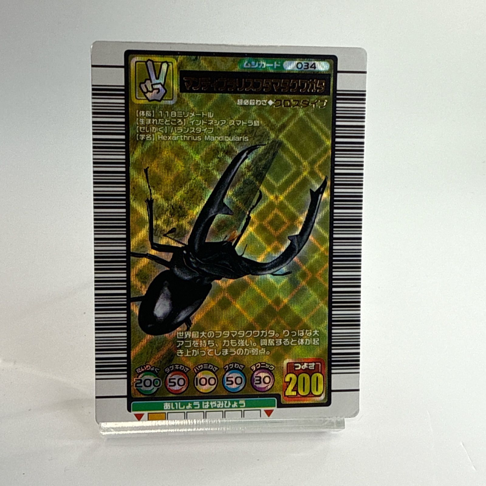 ムシキング ヘラクレス、ギラファ、グランディス いきもの大図鑑ヘラクレスと涅槃模型のギラファノコギリクワガタ