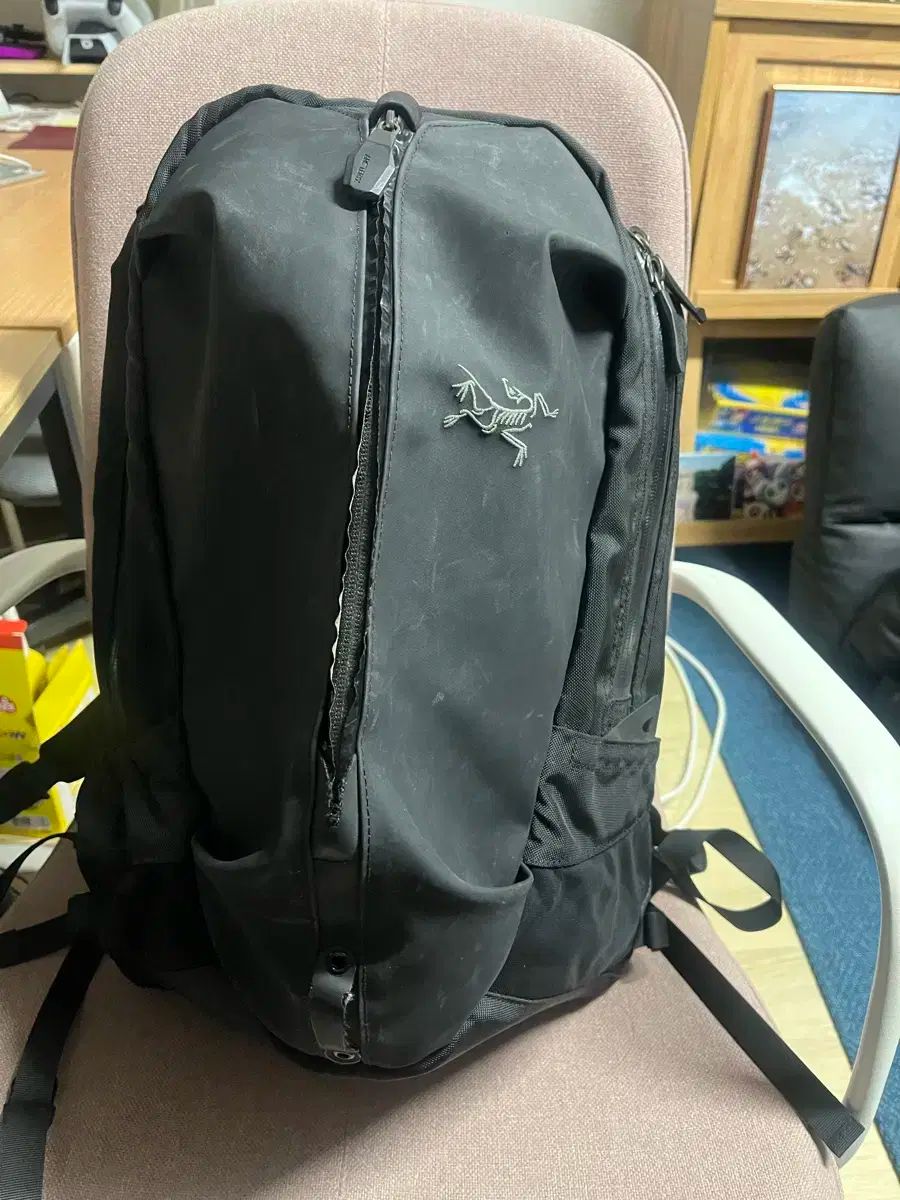 ARC TERYX アークテリクス ブラック バックパック バッグ