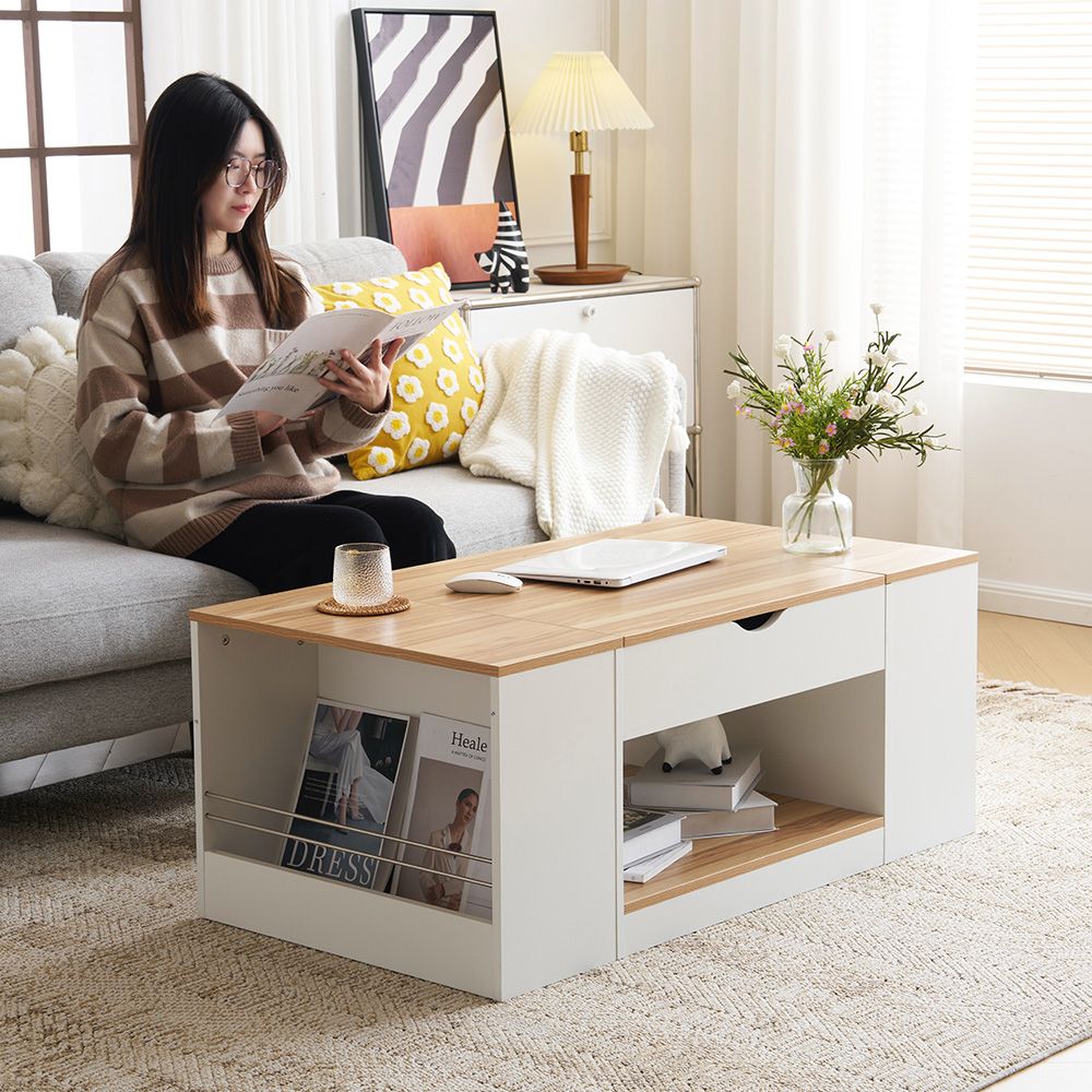 新作登場】センターテーブル 昇降テーブル 大容量収納 収納付き 幅110CM 北 新作登場】センターテーブル 昇降テーブル 大容量収納 収納付き 幅