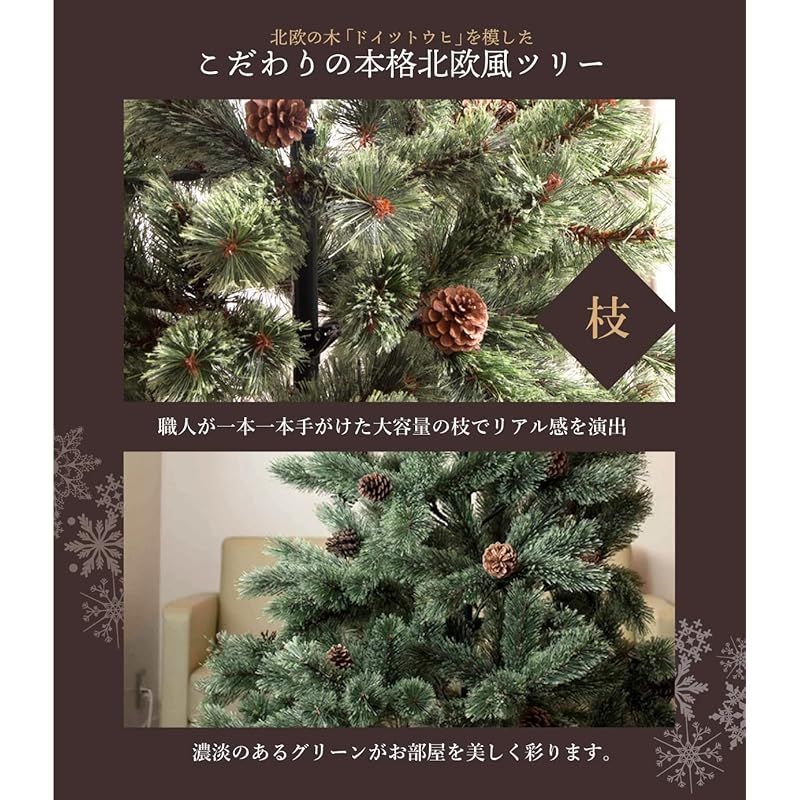 かわいい アビエス