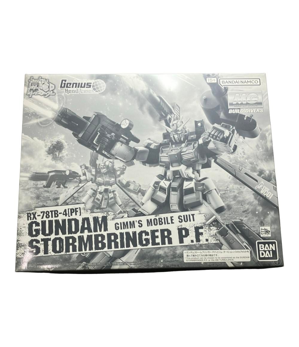 バンダイ ガンダムビルドダイバーズ MG 1 100 RX-78 TB-4 PF ガンダムストームブリンガー プラモデル