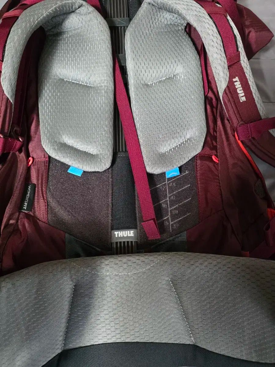 THULEガイドフォース リュックサック