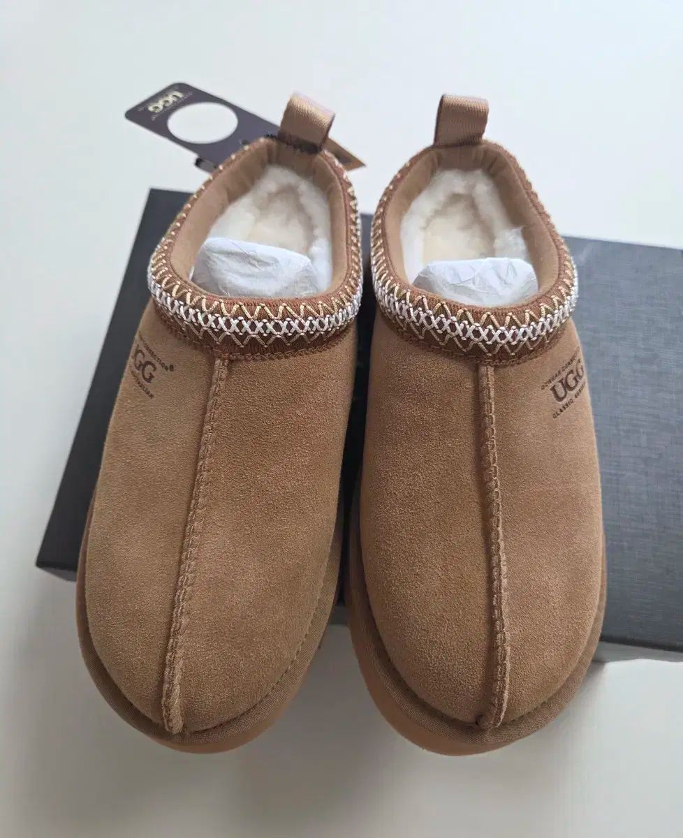 オッズウェア シドニー フラットフォーム 38