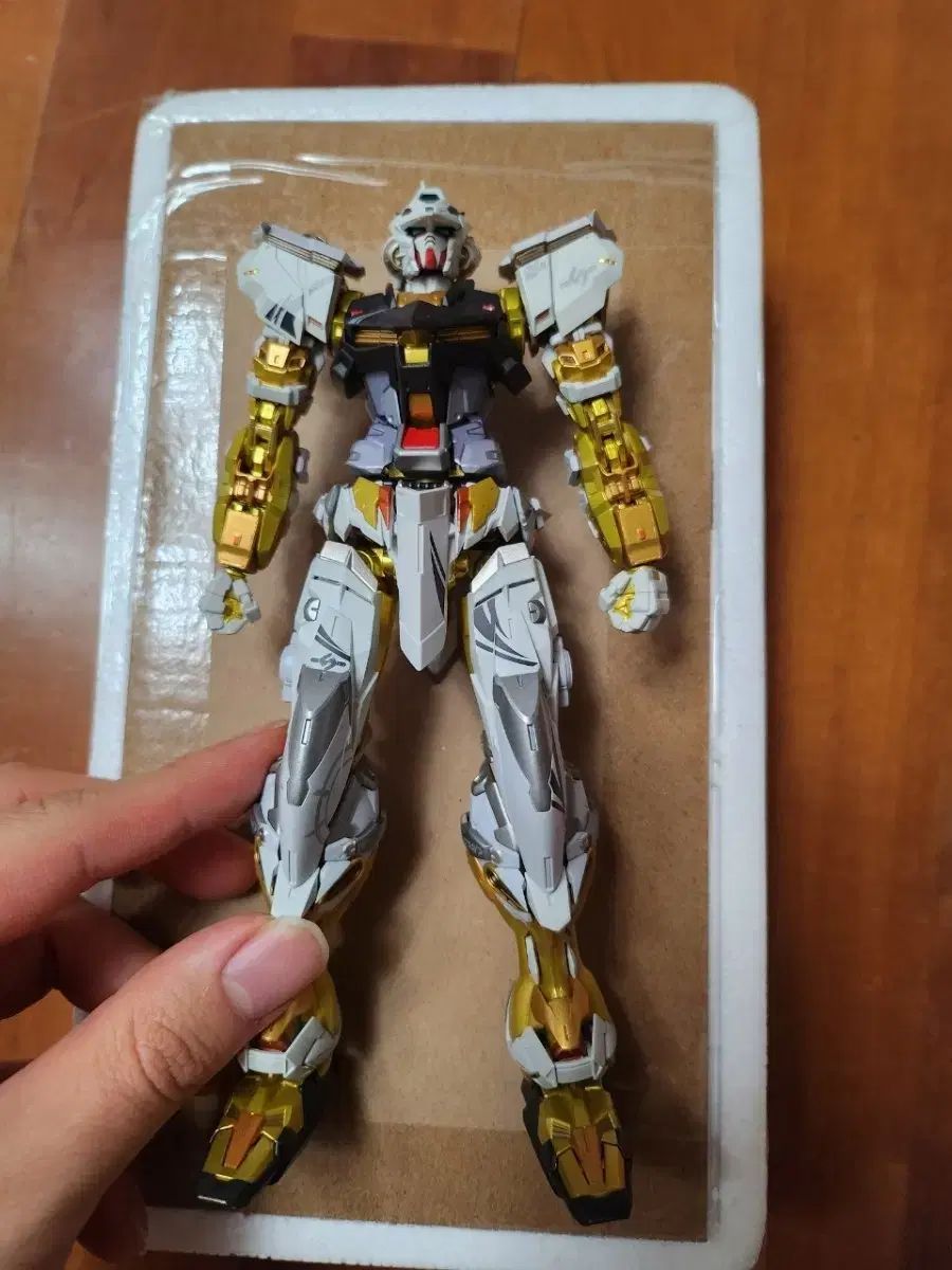 METAL BUILD GOLD FRAME プレフレーム 迷展示