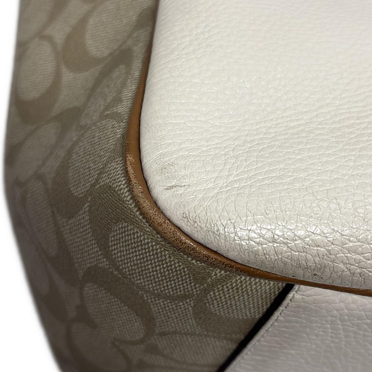 シグネチャー柄 C2855