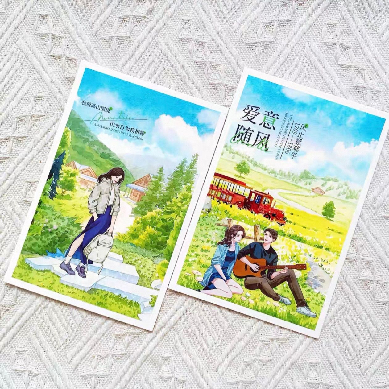 PET 记录生活 6cm×5m 100cm/loop 海外マスキングテープ 海外マステ