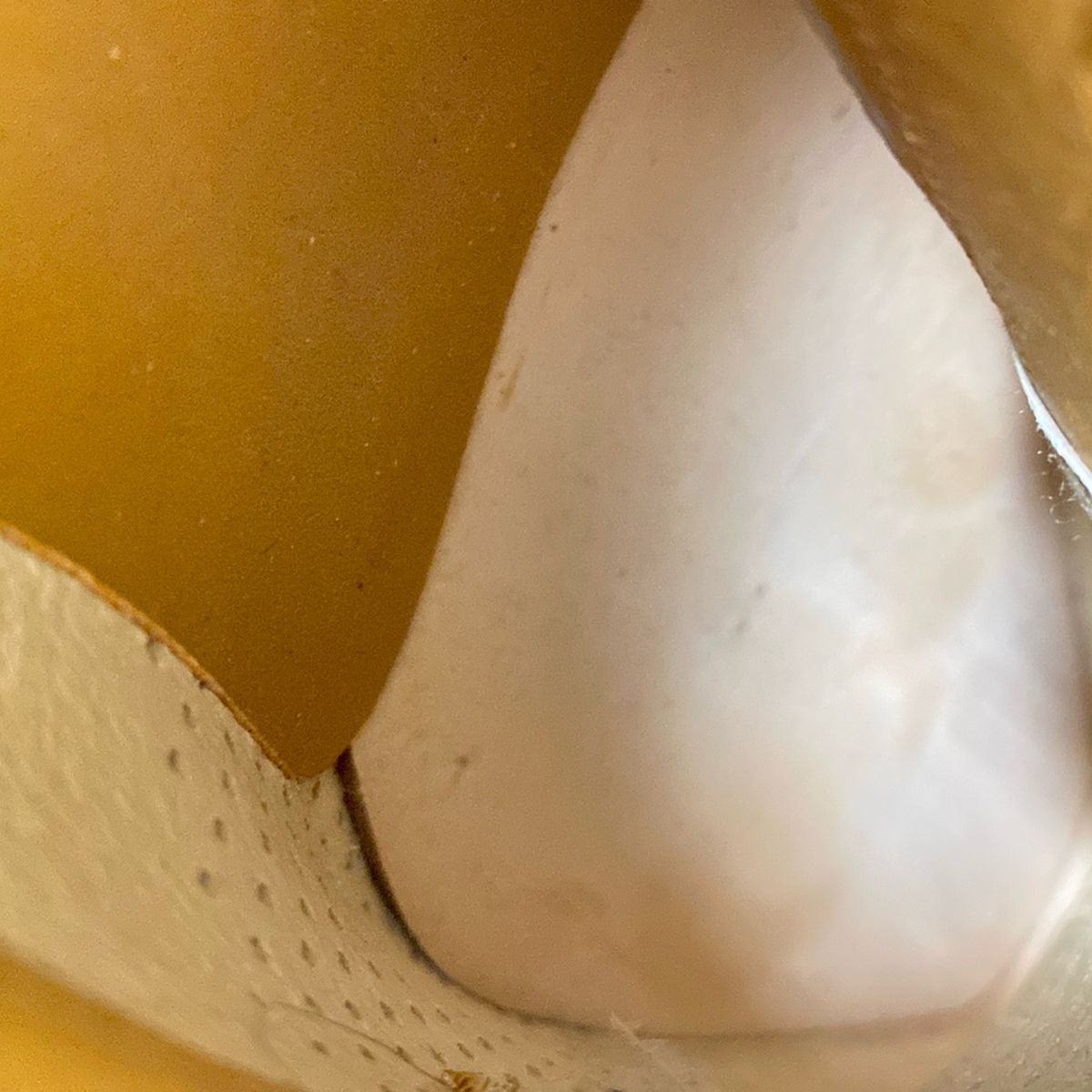 スコッチグレイン シューズ