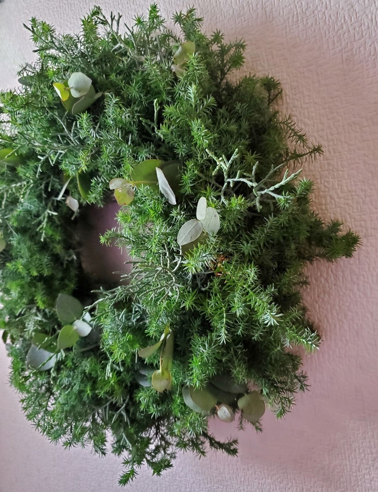 大きめ30㎝森のリース　針葉樹とユーカリの実のコニファーリース 大きめ30㎝森のリース 針葉樹とユーカリの実のコニファーリース