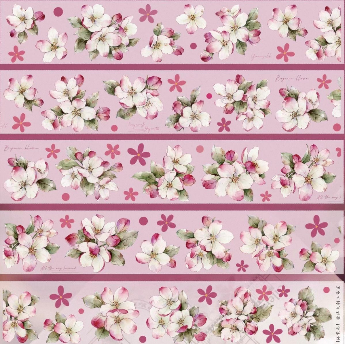 贝壳光 海棠花 ダイカット加工 5.5cm×6m 120cm/loop 海外マスキング