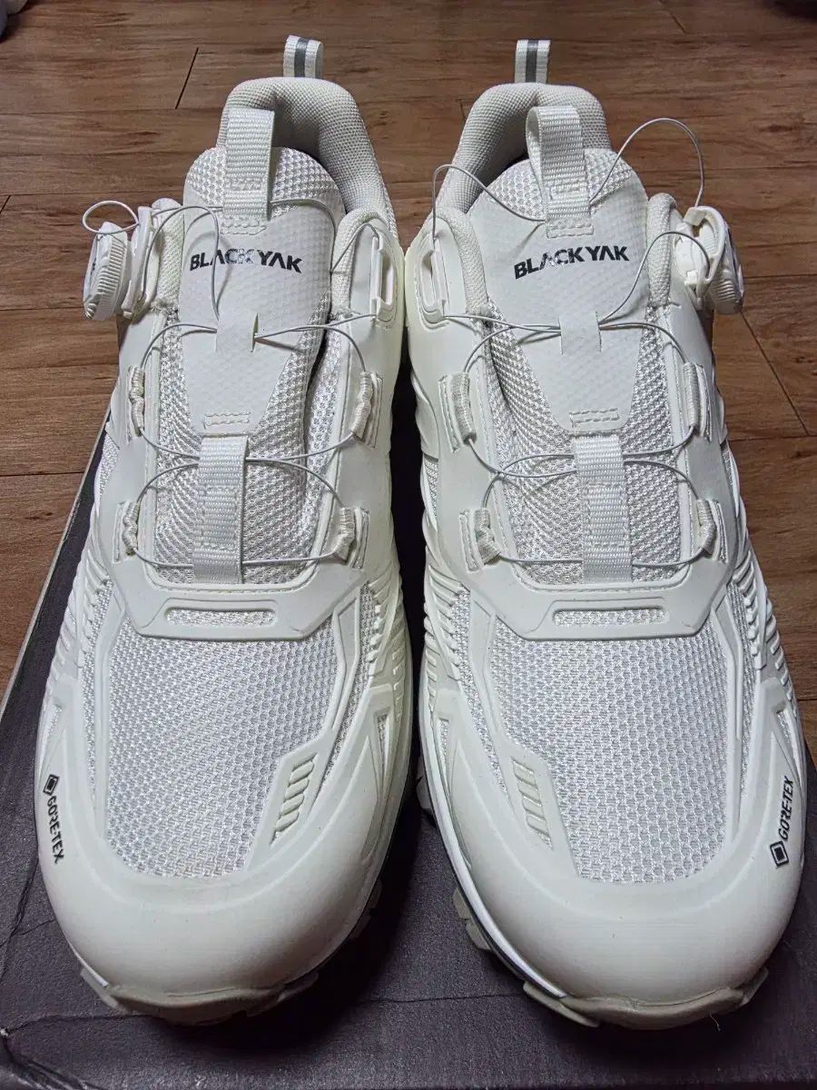 ブラックヤク ダイアル トレッキングシューズ トゥーレクGTX