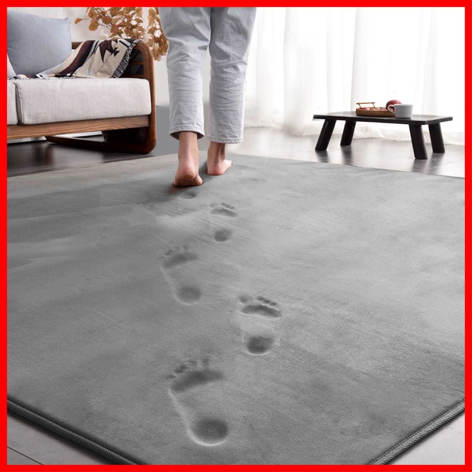 厚手15 mm 190 x 240 cm 3畳 洗える じゅうたん 低反発 厚い ホットカーペットカバー ラグ 滑り止め付 撥水加工 ラグマット 防ダニ 抗菌 カーペット 床暖房ホットカーペット対応 フランネル aicomri らぐまっと グレー