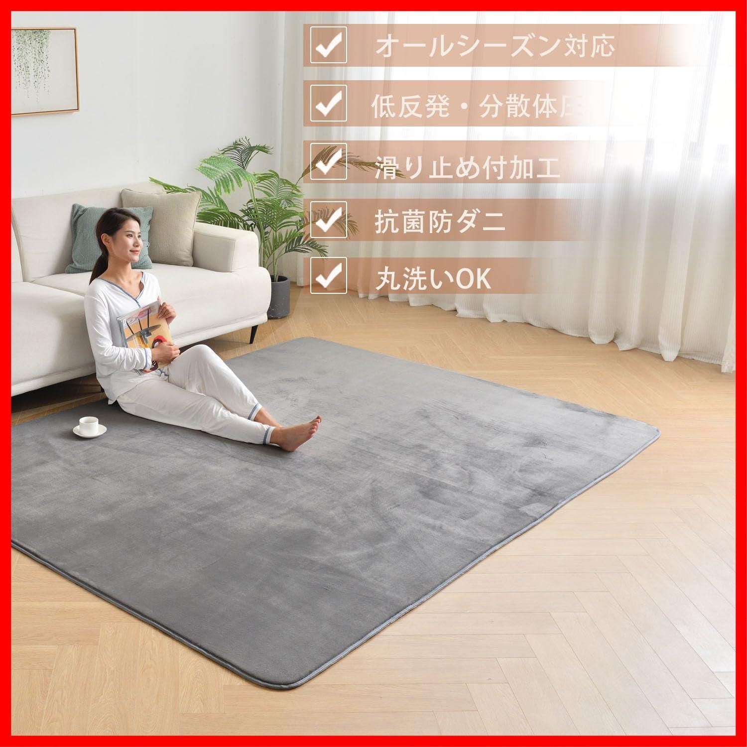 厚手15mm 190x240cm 3畳 洗える じゅうたん 低反発 厚い ホットカーペットカバー ラグ 滑り止め付 撥水加工 ラグマット 防ダニ 抗菌 カーペット 床暖房ホットカーペット対応 フランネル aicomri らぐまっと グレー