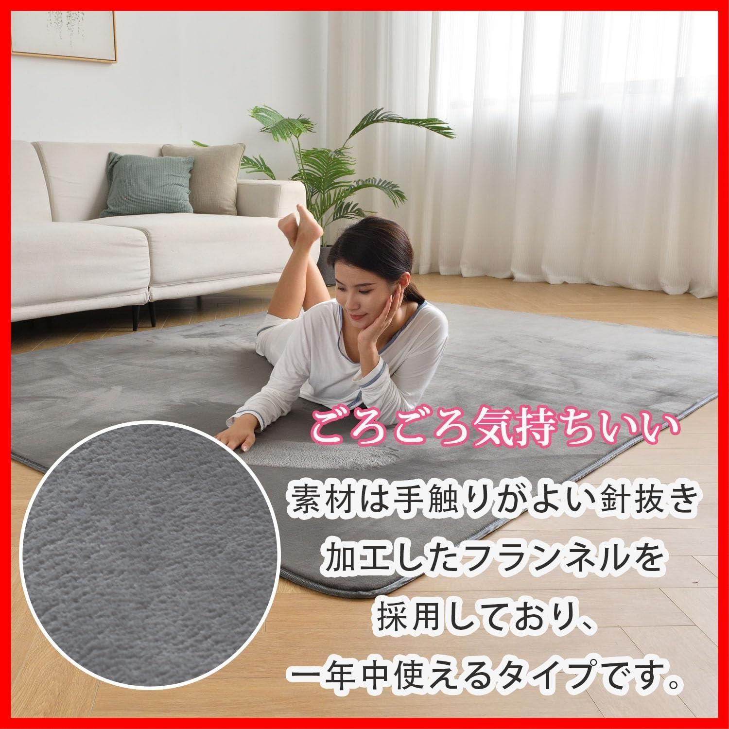 厚手15mm 190x240cm 3畳 洗える じゅうたん 低反発 厚い ホットカーペットカバー ラグ 滑り止め付 撥水加工 ラグマット 防ダニ 抗菌 カーペット 床暖房ホットカーペット対応 フランネル aicomri らぐまっと グレー WWW_OPDRERGINERDOGAN_COM