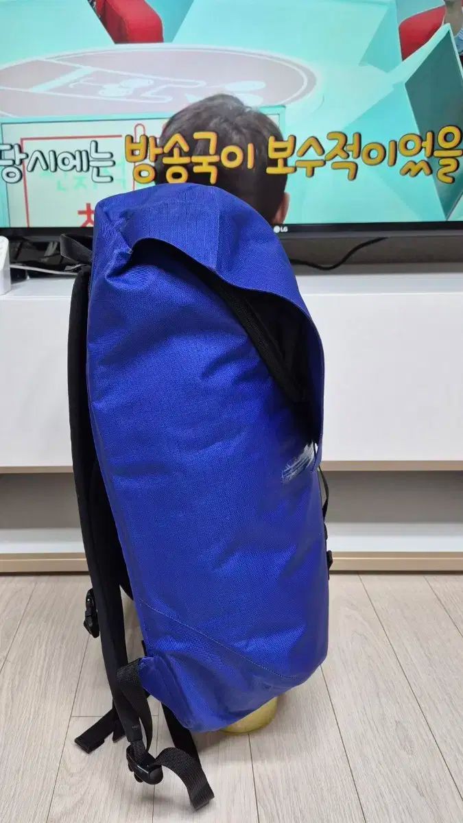 ARC'TERYX アークテリクス グランヴィル 20L バックパック 【公式通販】