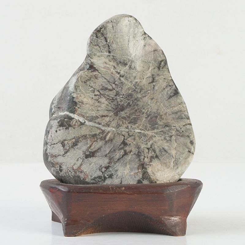 鑑賞石 天然石 菊花石 置物 唐木台付 N S290 - メルカリ