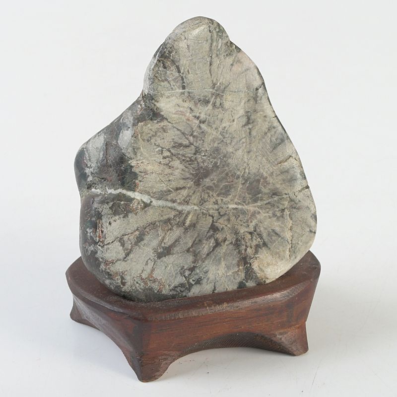鑑賞石 天然石 菊花石 置物 唐木台付 N S290 - メルカリ