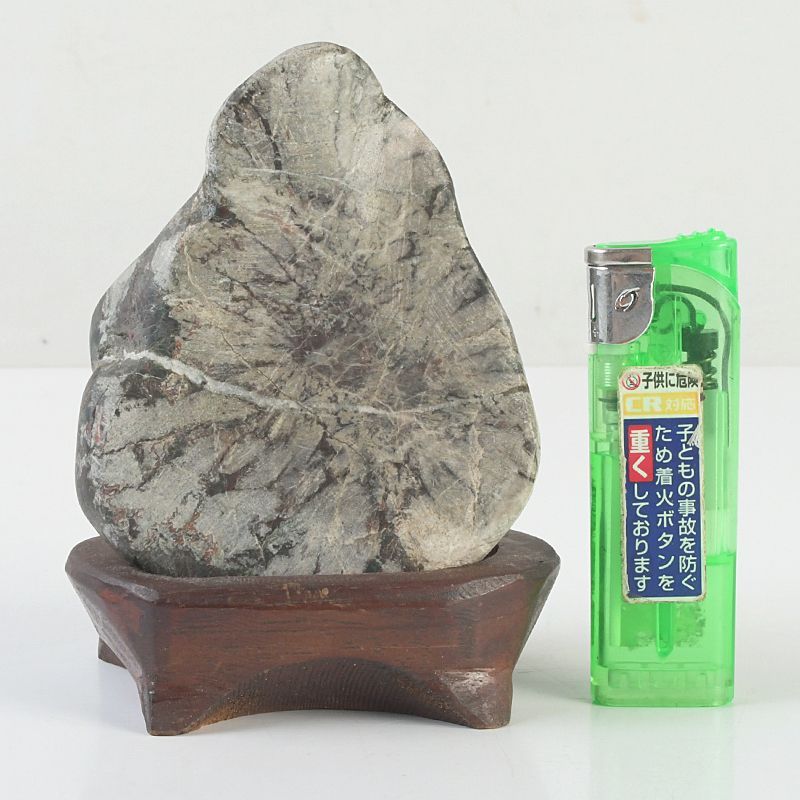 鑑賞石 天然石 菊花石 置物 唐木台付 N S290 - メルカリ