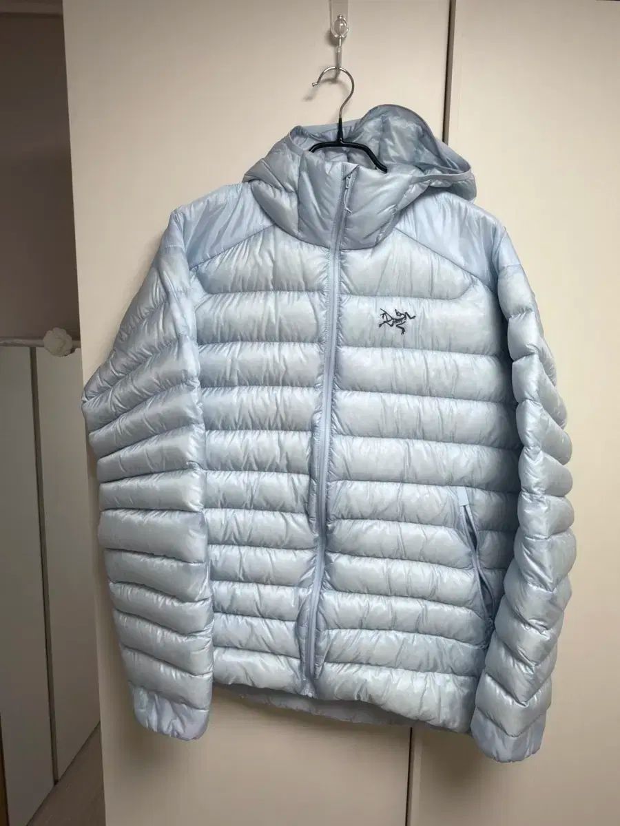 ARC TERYX Cerium フーディ ルーセント XL