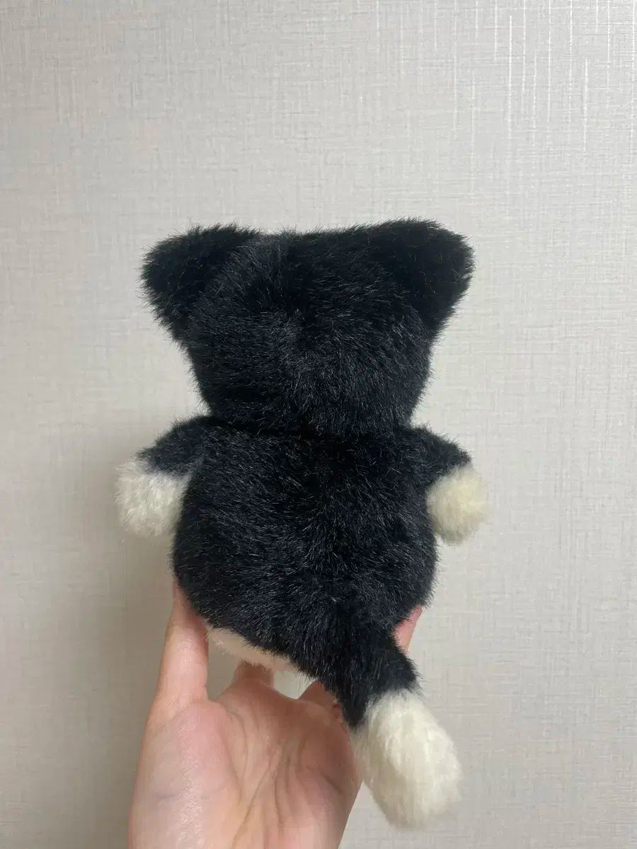 サンリオゴーゴーノラ猫ランド ぬいぐるみ