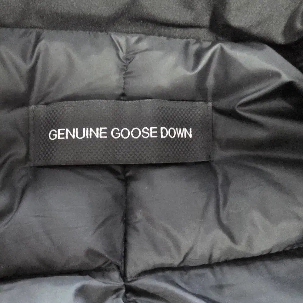 カラ ジャケット