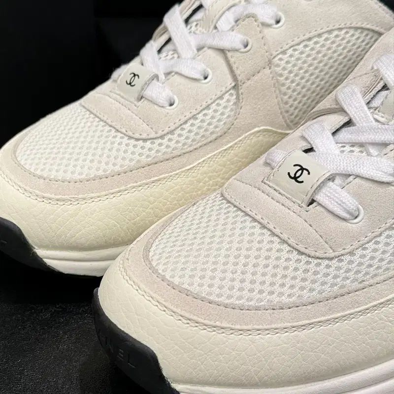 カーフスキン クルーズ