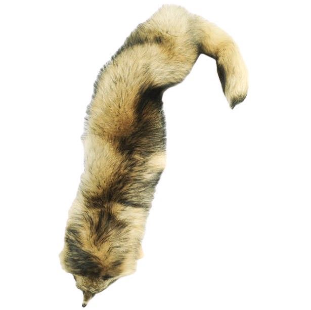 新品 The FRANKLIN TAILORED フランクリンテーラード 日本製 ラクーン  