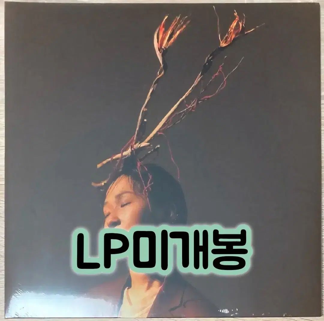 チュダヘ チャージ 今晩 堂山ツリー 下から ー LP