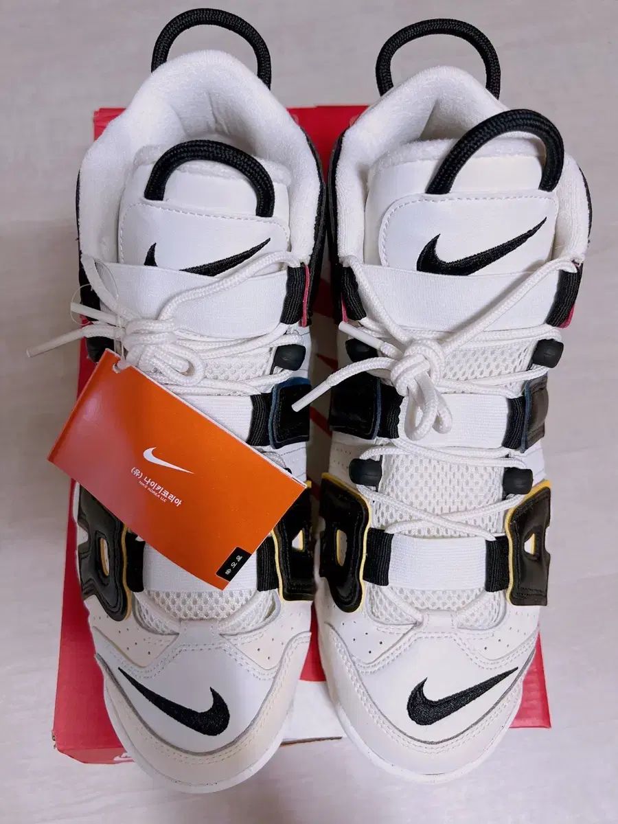  かわいい アップテンポ 96 シューズ(男性用) バスケットボール