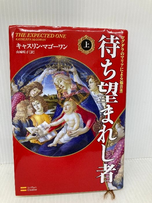 電動リール アルファタックル ポラリス iv 500 2022年12月新古品購入