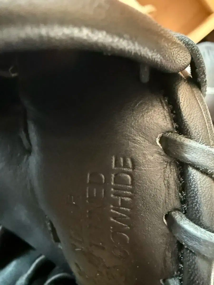 コーリシガー HOH