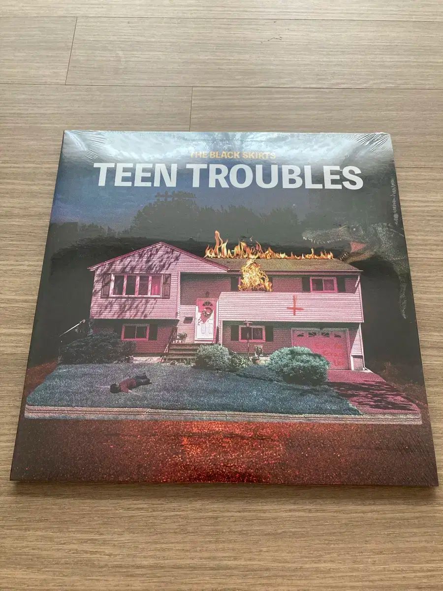 The Black Skirts コムジョンチマ teen troubles lp