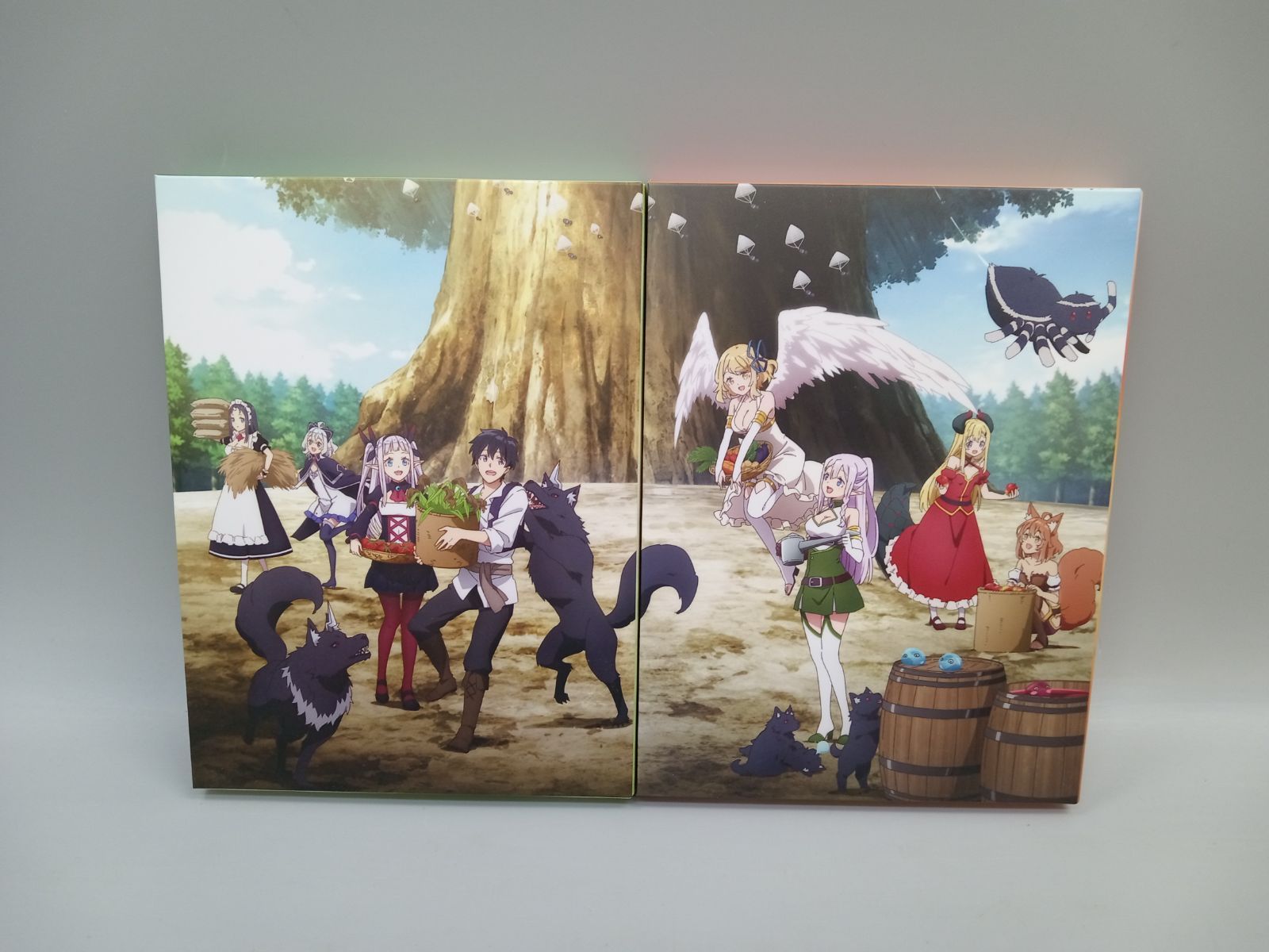 異世界のんびり農家 DVD 上巻&下巻セット DD1071-006