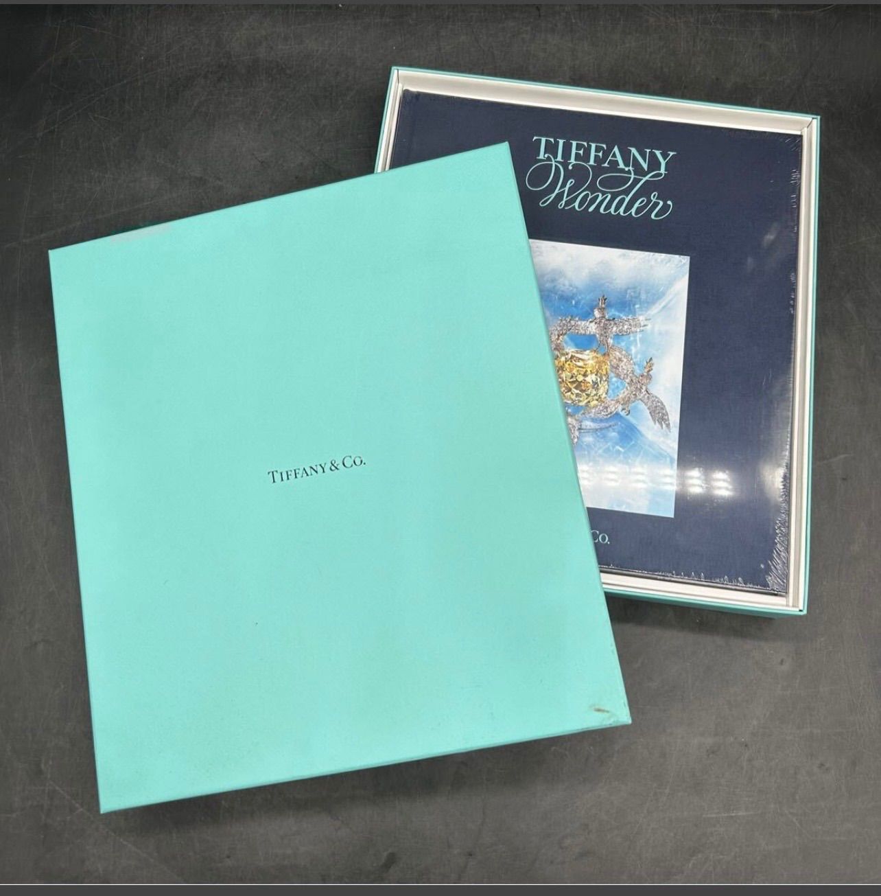 2291 新品未使用 TIFFANY＆Co. ティファニー ワンダーブック 初版 箱