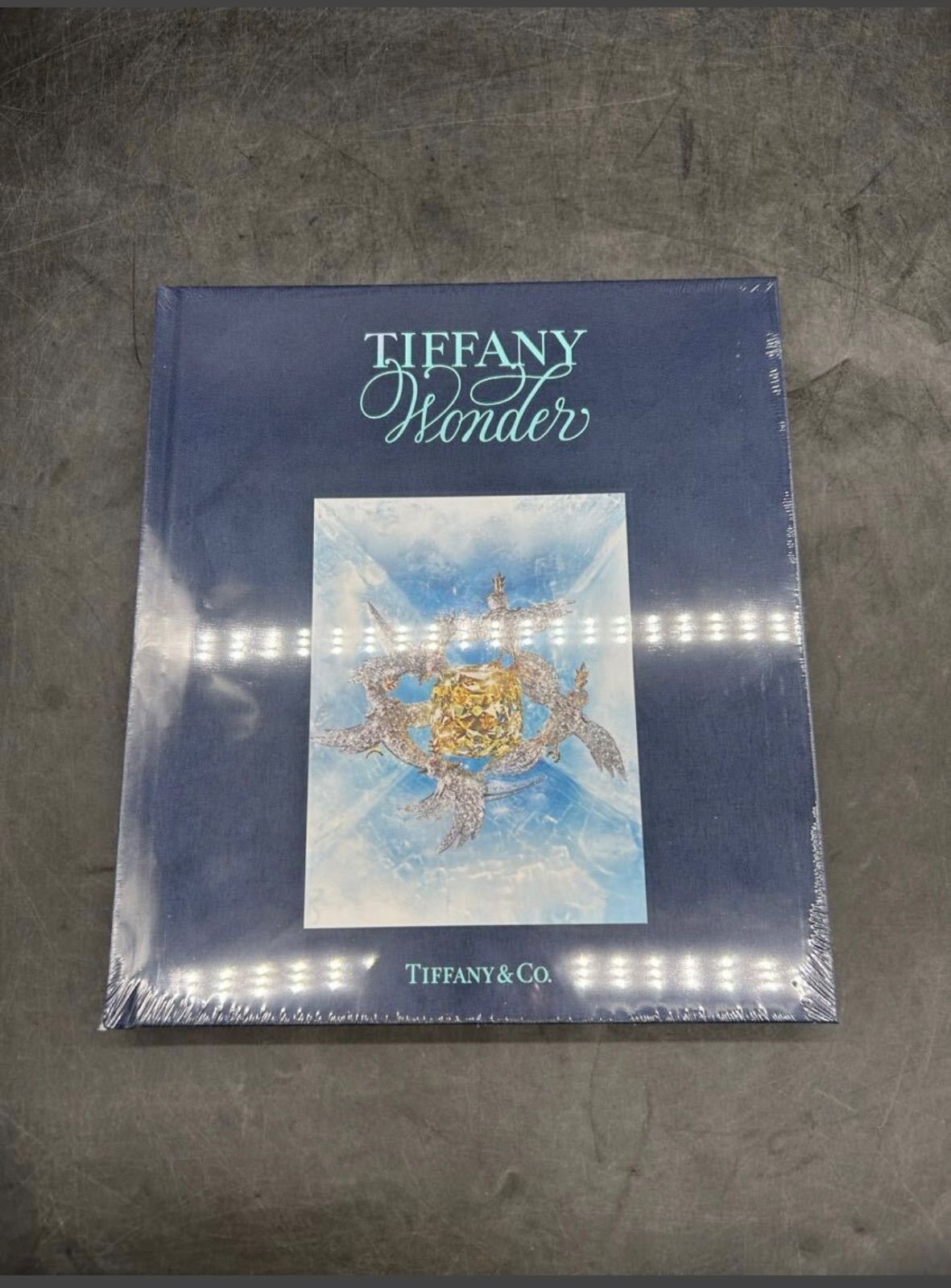 2291 新品未使用 TIFFANY＆Co. ティファニー ワンダーブック 初版 箱