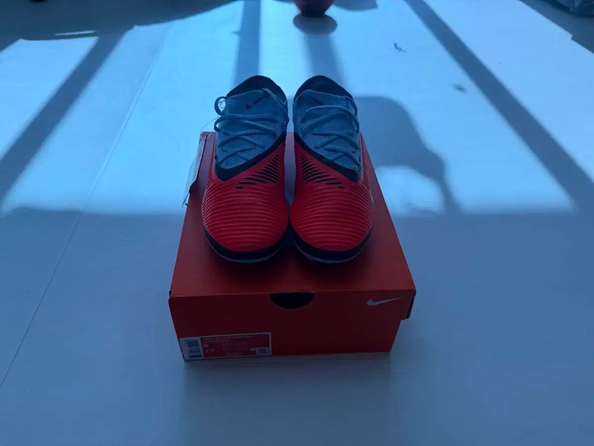 FANTOM 6 pro ag 240サイズ