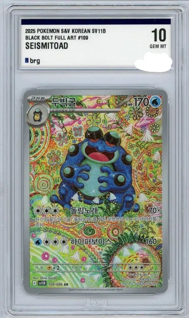 ポケットモンスター ビックフルアートカード BRG 10