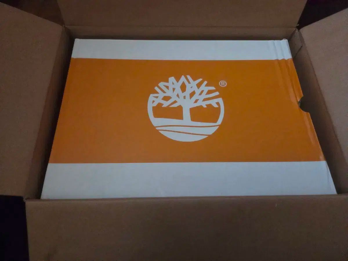  Timberland 6インチ ブーツ 250 その他 ブーツ 革靴