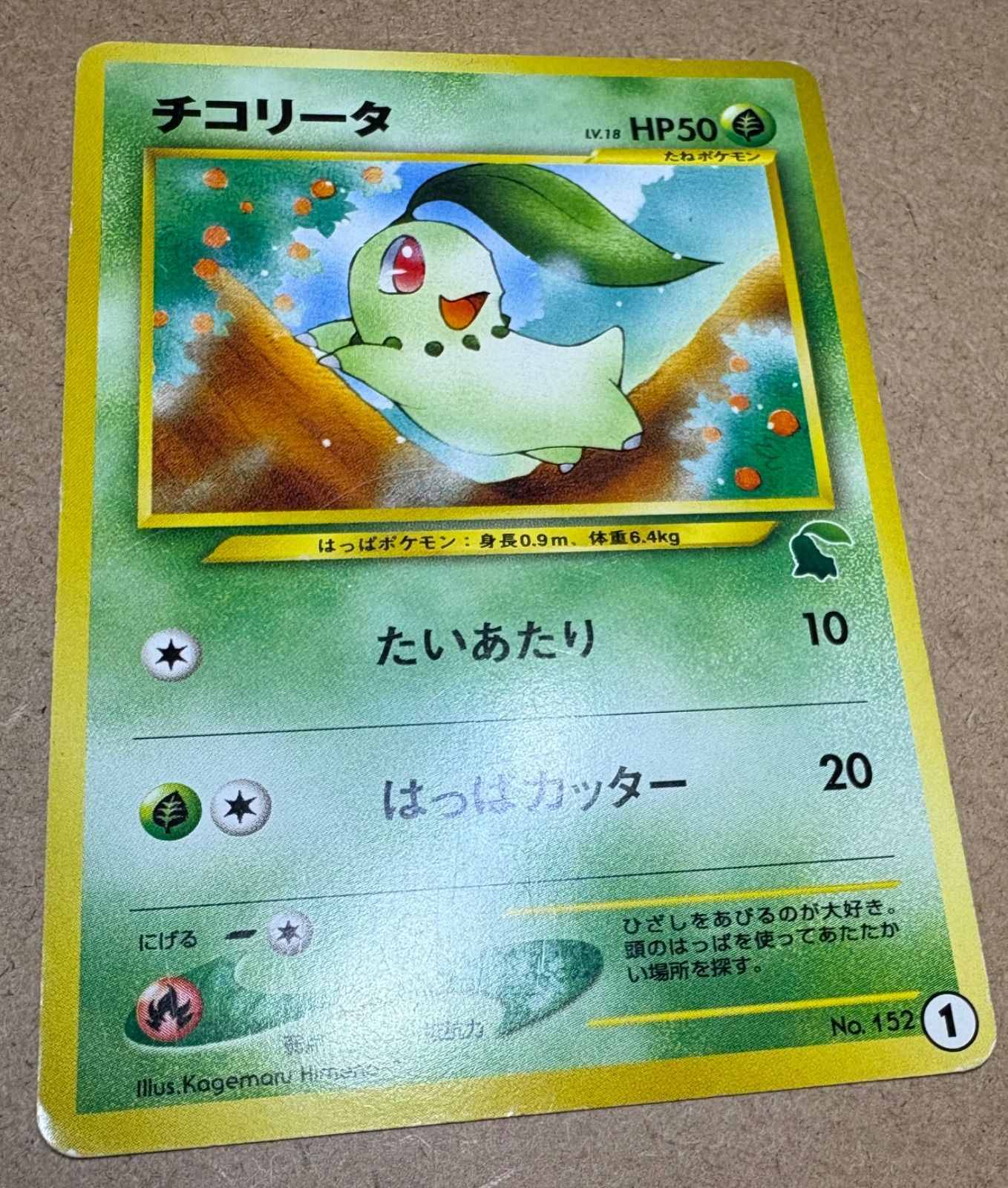 イントロパックNeoのチコリータ(チコリータマーク) ポケモンカード旧裏