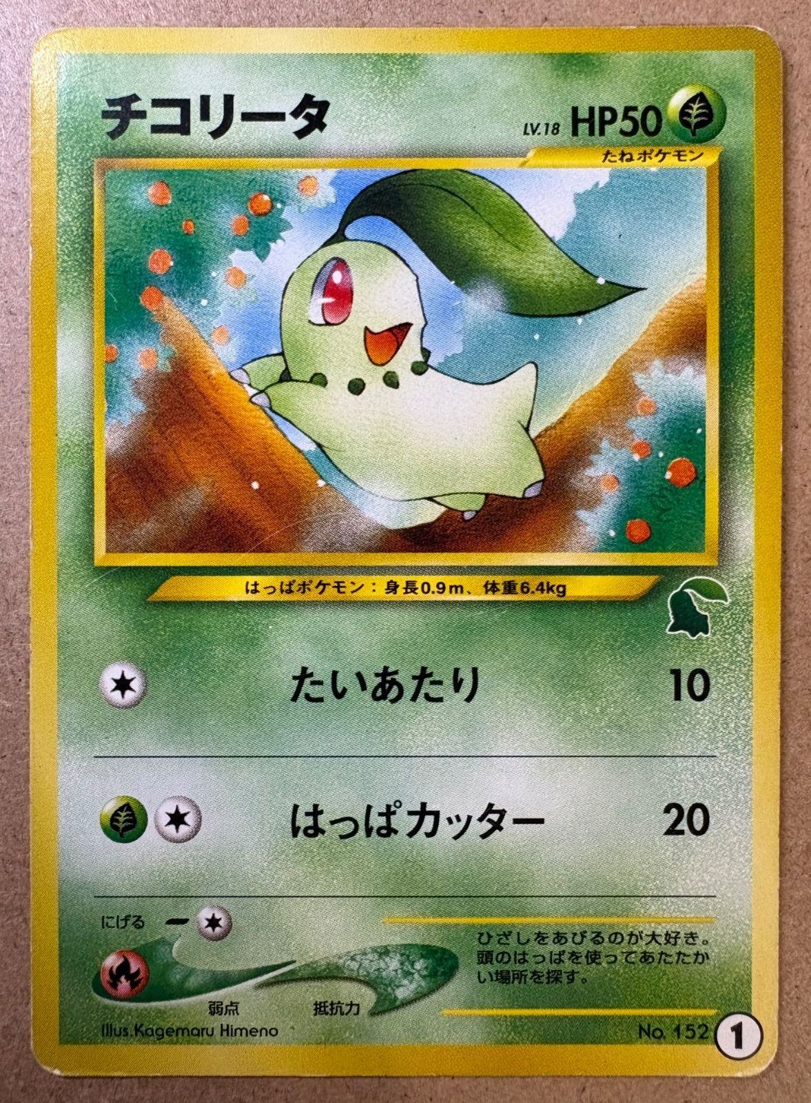 イントロパックNeoのチコリータ(チコリータマーク) ポケモンカード旧裏