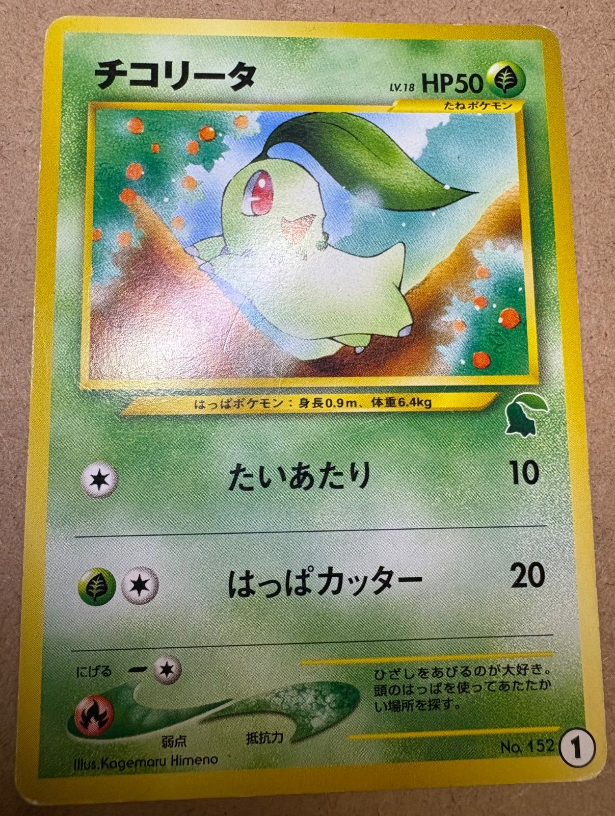 イントロパックNeoのチコリータ(チコリータマーク) ポケモンカード旧裏